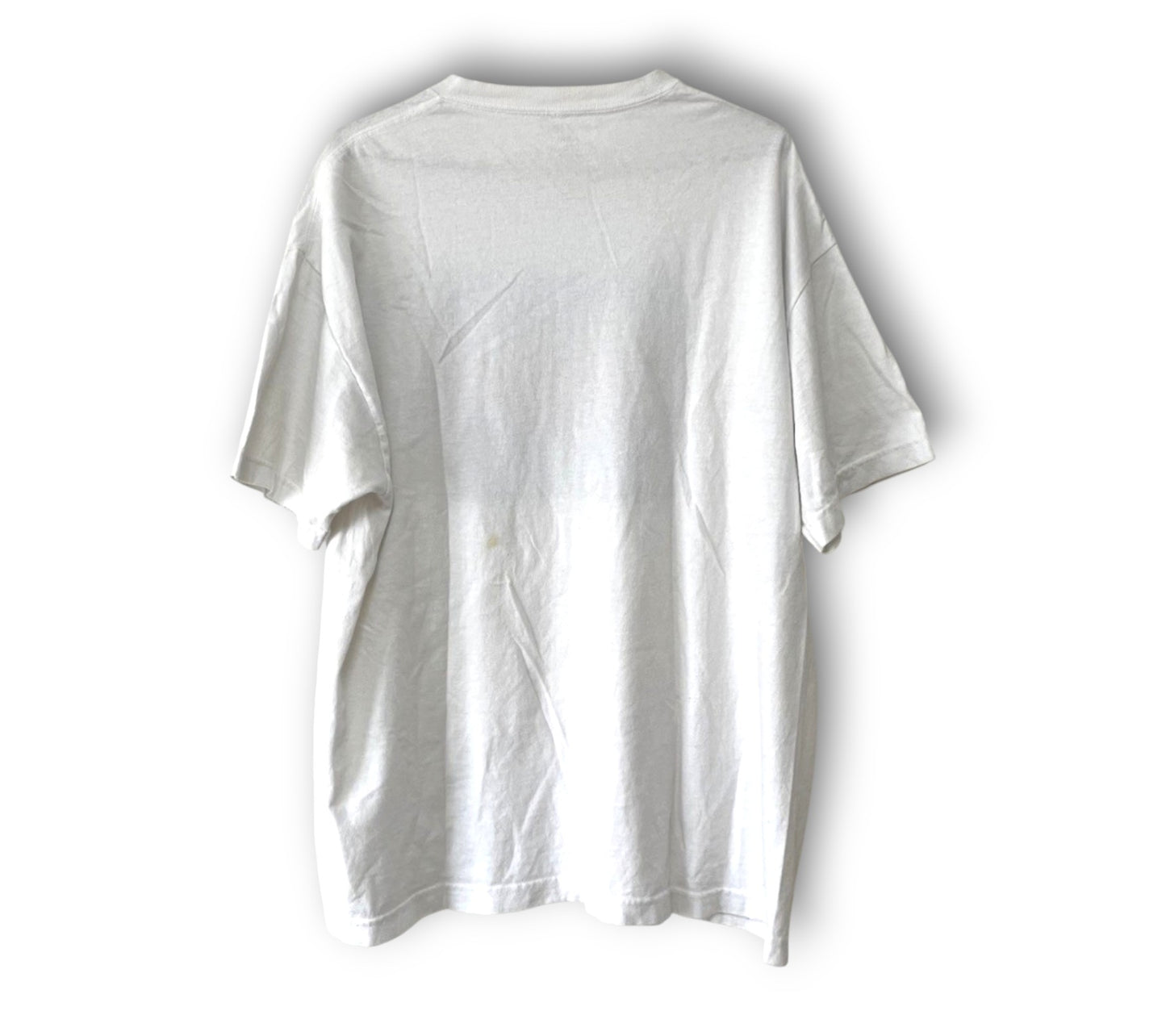 J. ガルト ジョージ・オーウェル 1984 ヴィンテージ Tシャツ メンズ XL