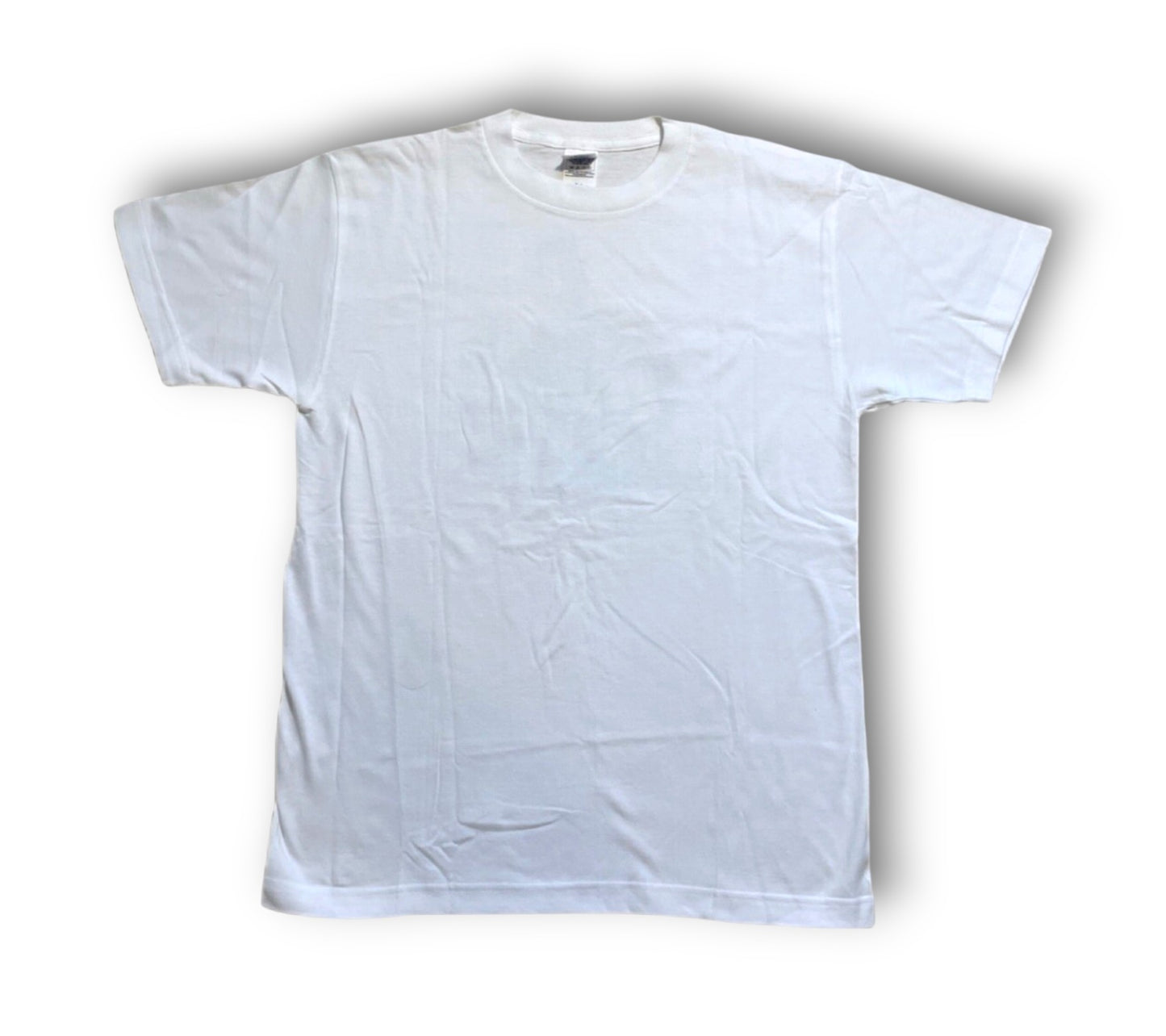 アイス・エイジ 2001 ヴィンテージ Tシャツ 映画プロモ メンズ M