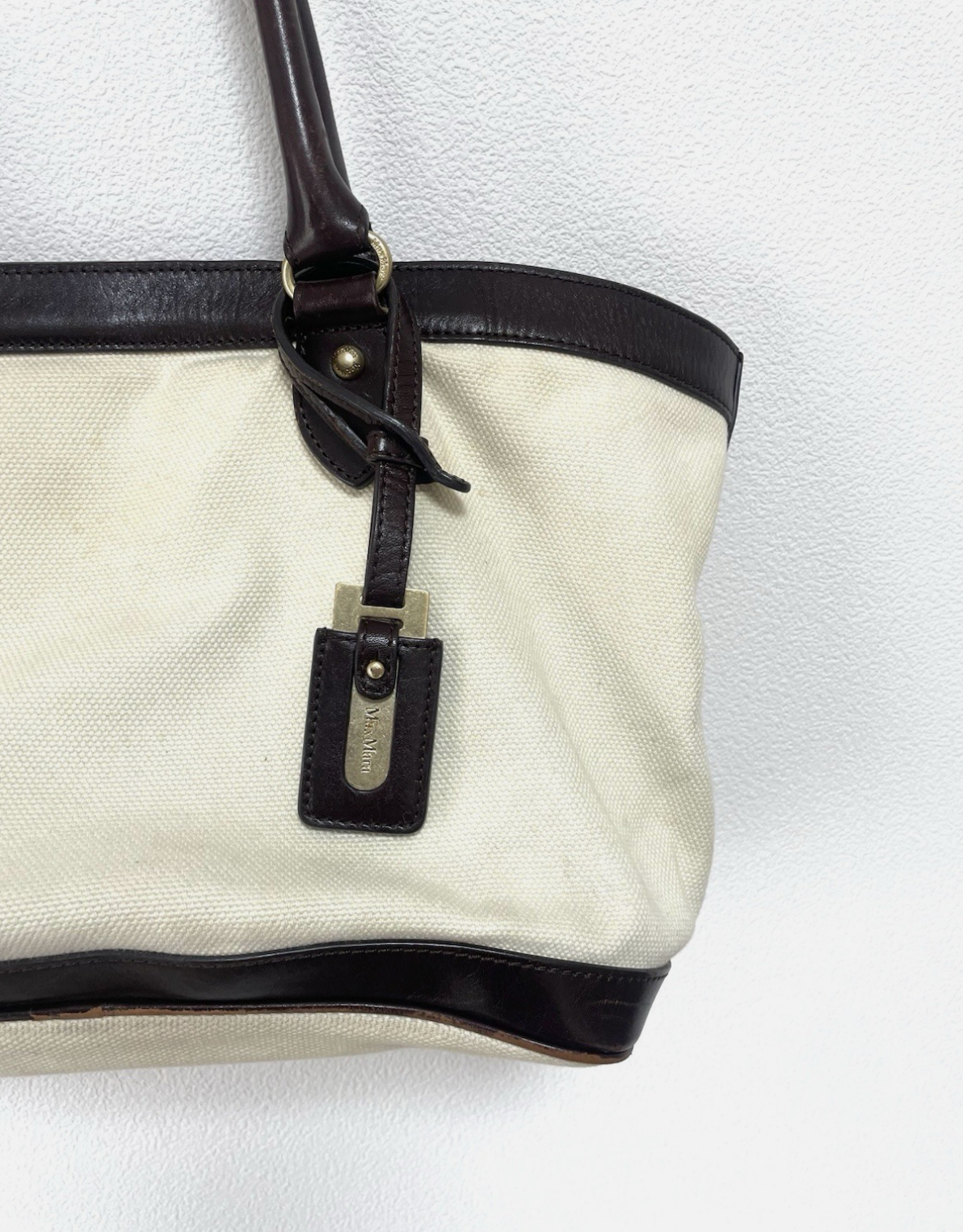 Max Mara Canvas Tote Shoulder Bag Handbag 2way Garden Cabas