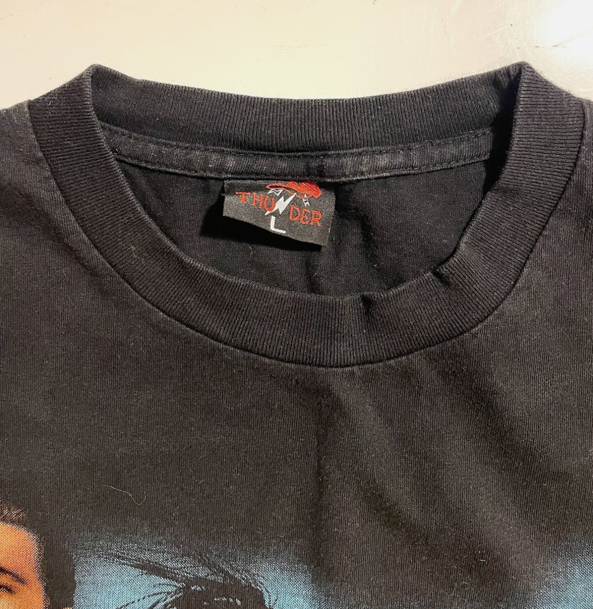エヴァネッセンス ヴィンテージ Tシャツ メンズL