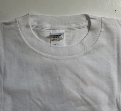 アイス・エイジ 2001 ヴィンテージ Tシャツ 映画プロモ メンズ M
