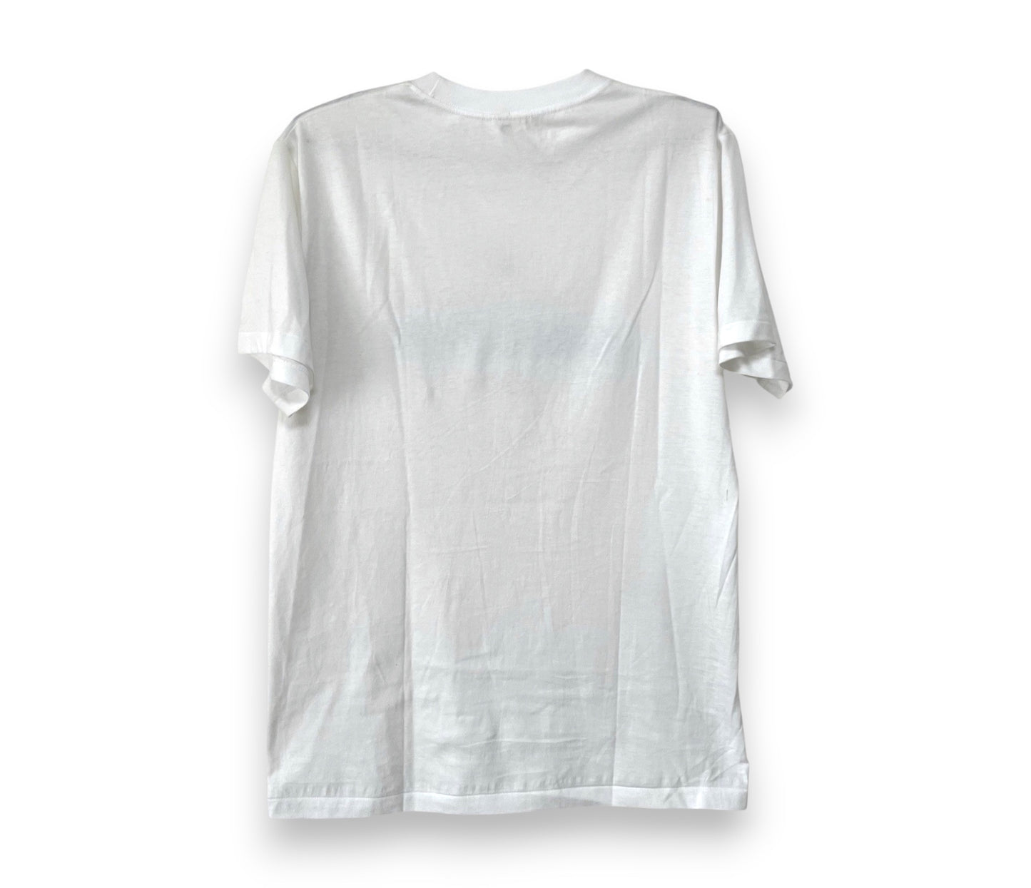 Apple ヴィンテージ 90年代 ジャパンスタッフ プロモ Tシャツ メンズ M